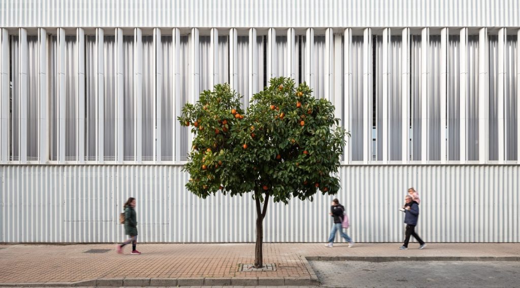 Perfil INCO 44.6 Pabellón colegio Ferrobús en Palma del Rio por EOVAstudio